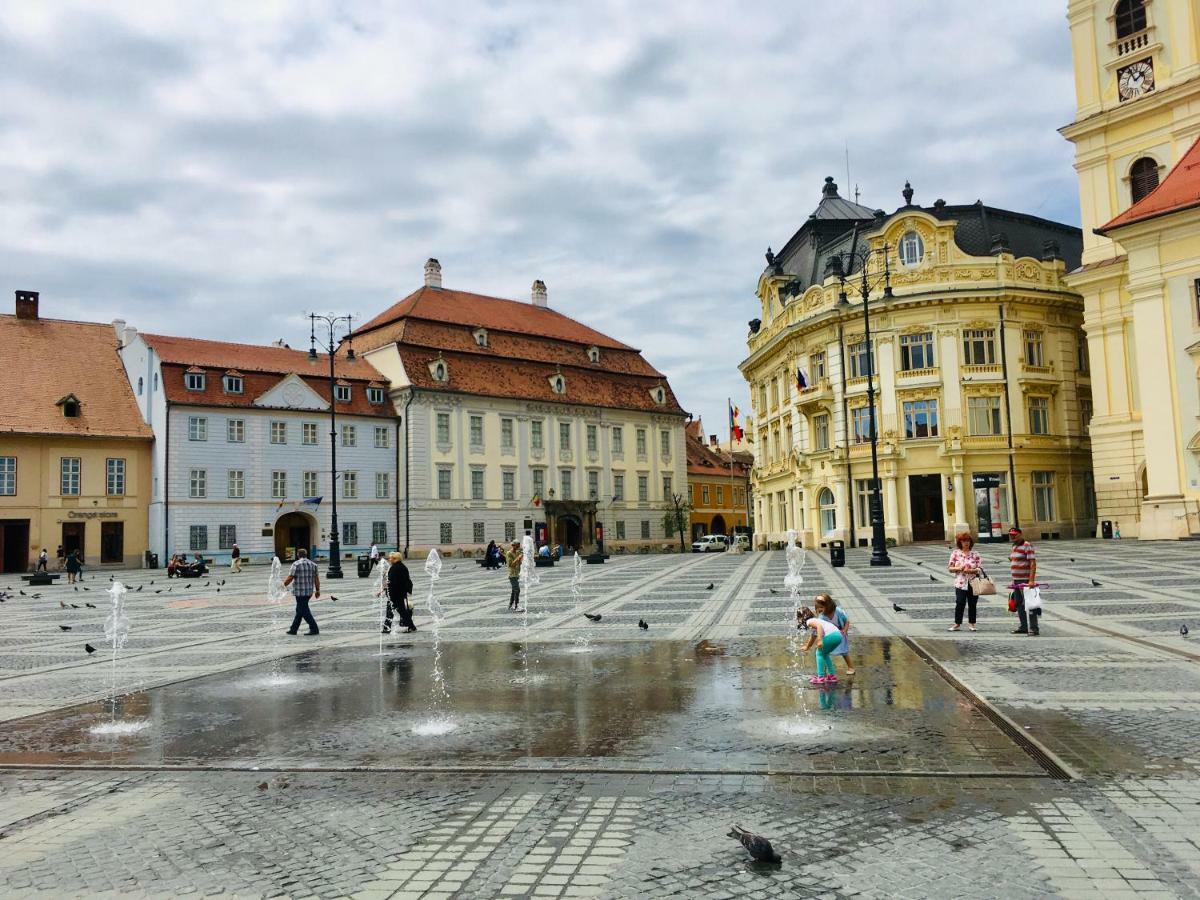 Felinarului House 公寓 Sibiu